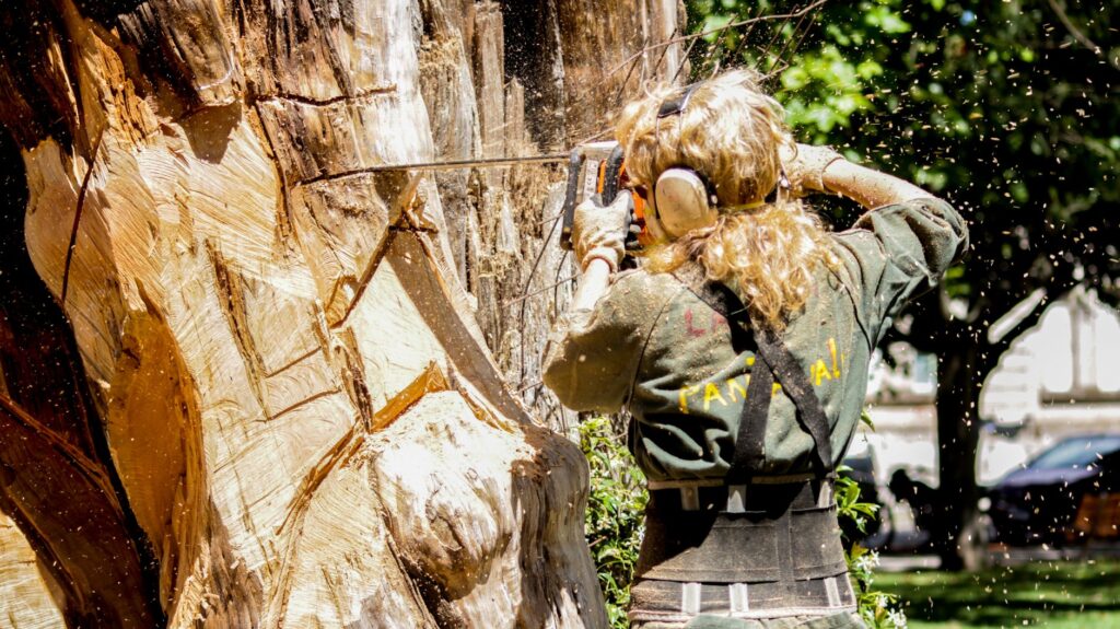 Arborist inspecting a large tree trunk for signs of decay and structural defects