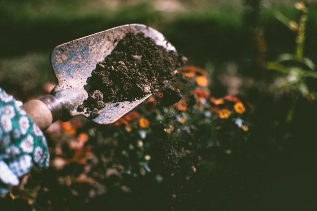 Hands using a trowel to collect a soil core sample from a planting bed