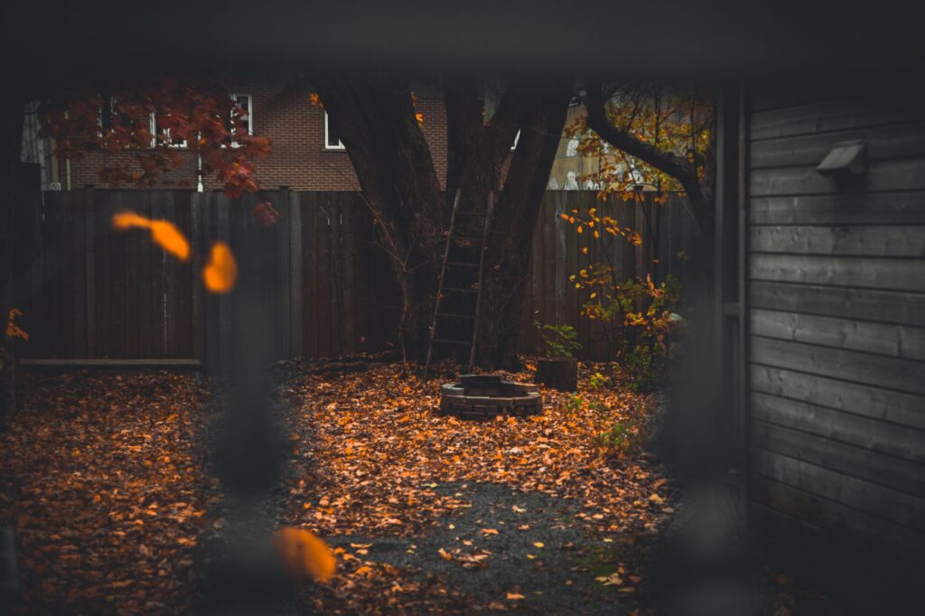 A stepladder positioned securely on flat ground against a backyard tree trunk