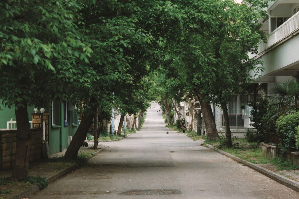 A tree-lined residential street with a storm drain, showing shaded pavement and runoff path