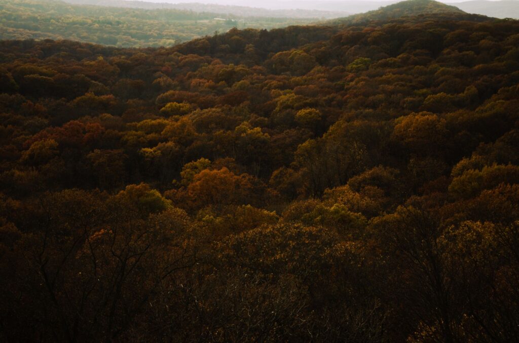 Wooded hillside trail overlooking a river, similar to Hartshorne Woods Park in Middletown Township