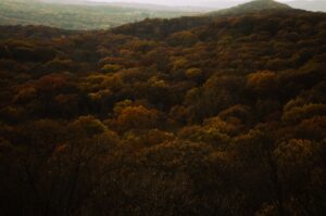 Wooded hillside trail overlooking a river, similar to Hartshorne Woods Park in Middletown Township