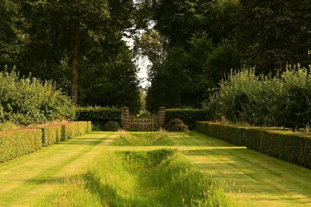 A backyard lawn stopping short of a wooded buffer strip along a stream