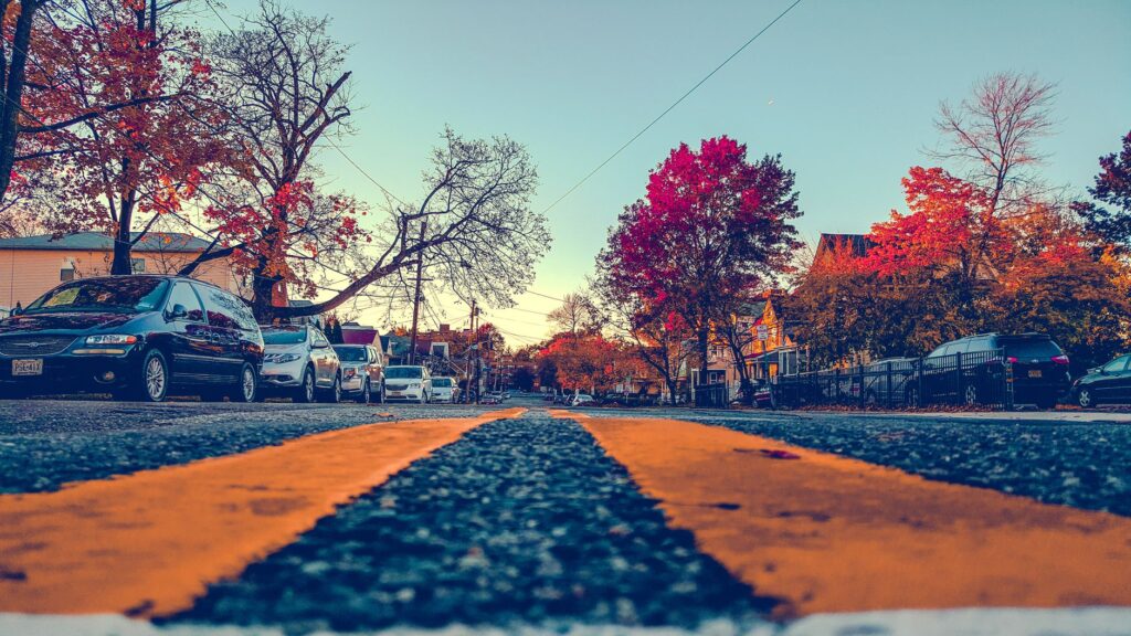A tree-lined suburban road buffering nearby vehicle traffic