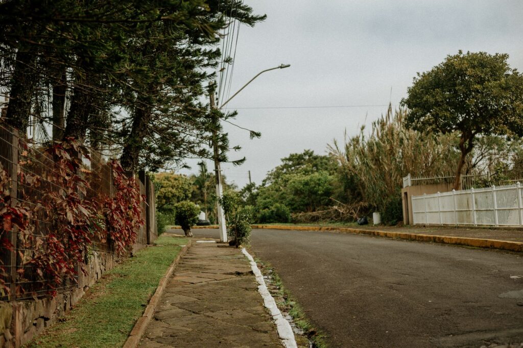 Mature street trees growing in the right-of-way between a sidewalk and curb in a residential neighborhood
