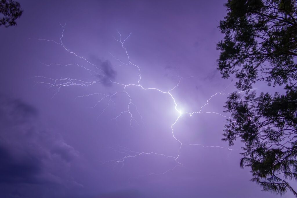 Dark summer storm clouds building over a tree canopy in coastal New Jersey