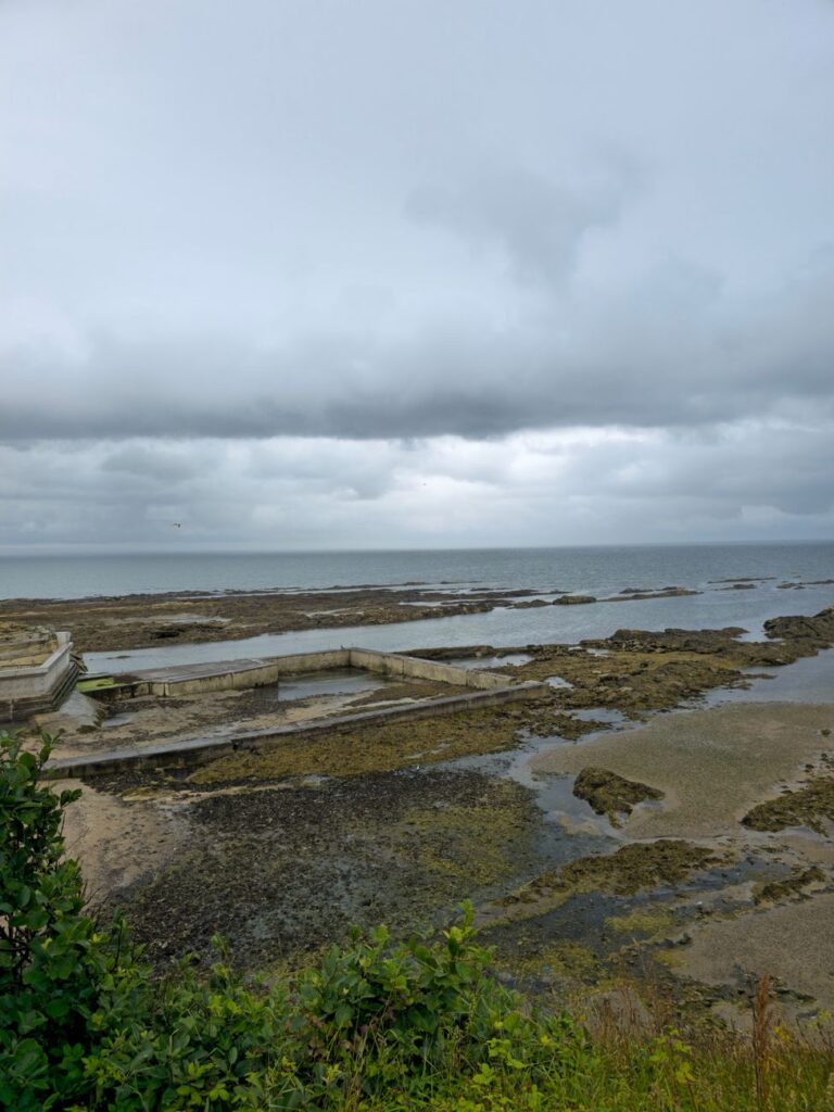 Trees along the Raritan Bay shoreline exposed to open-water wind under an overcast sky
