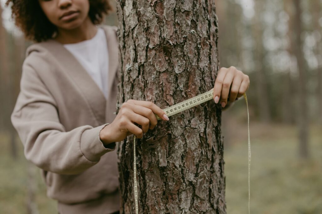 A homeowner looking closely at the trunk of a mature tree in a Middletown backyard