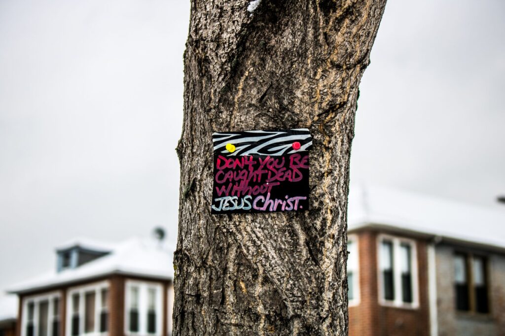 A mature street tree with a trunk that forks into two large stems