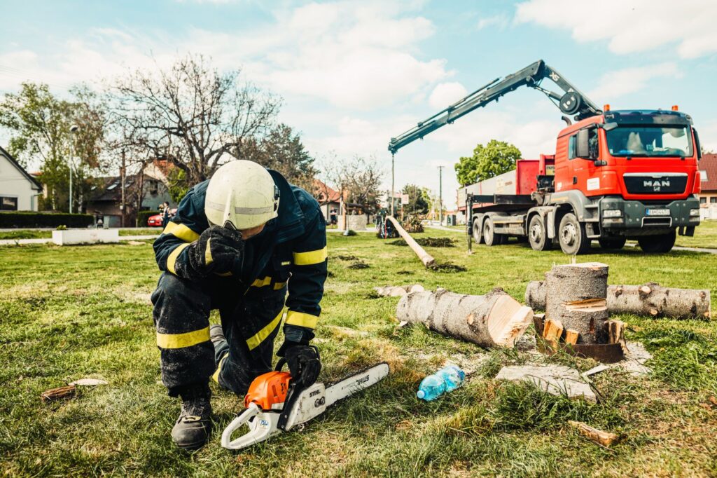 A certified arborist examining a tree trunk and canopy
