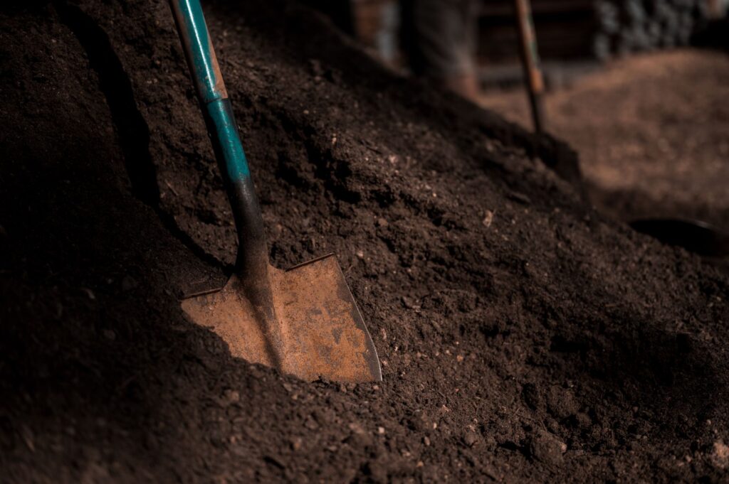 A close-up cross section of sandy loam soil exposed by a shovel
