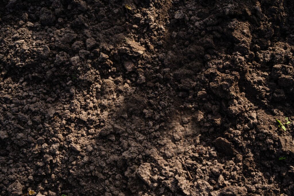 Close-up of dark, mineral-rich greensand clay soil texture