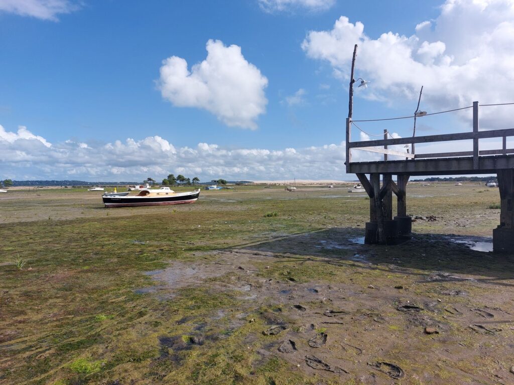 Storm tide water receding from a coastal yard near a bulkhead in a Raritan Bay neighborhood