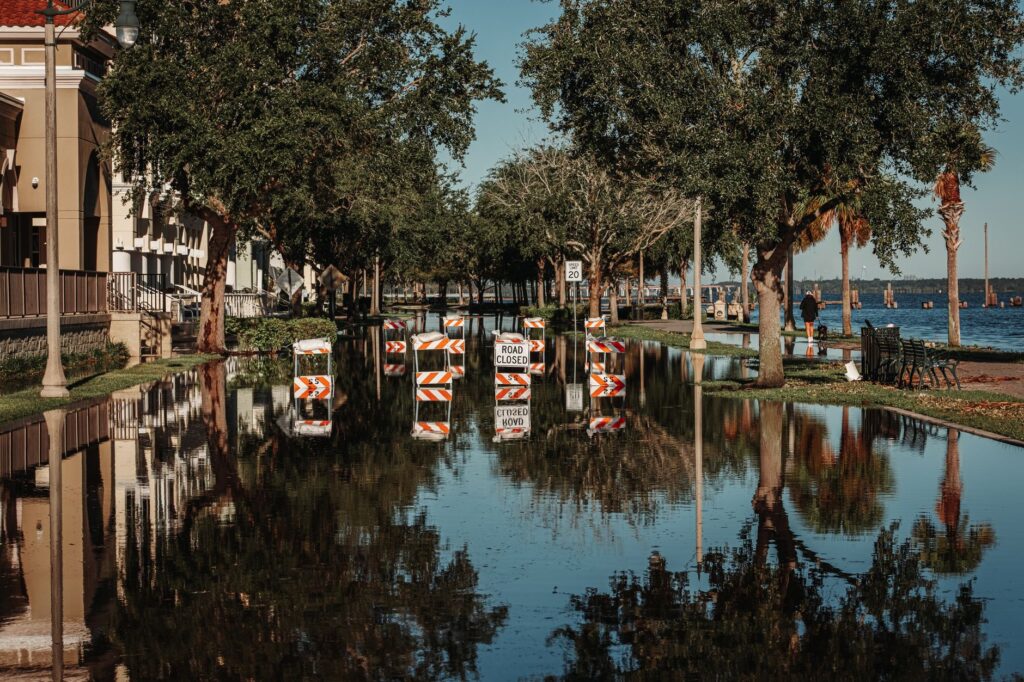 Standing floodwater around the base of mature trees in a coastal neighborhood yard after a storm tide