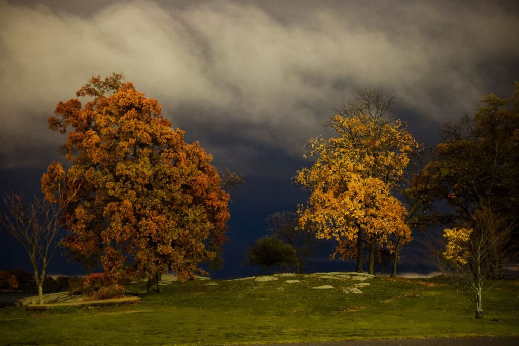Dark storm clouds gathering over a row of trees in early fall
