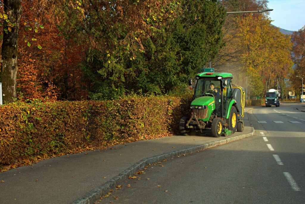 A tree-lined municipal street in Middletown Township with trees maintained along the public right-of-way