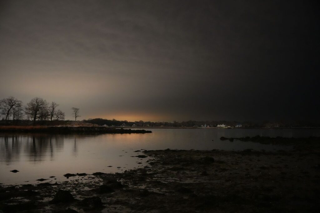 Bare trees along the Raritan Bay coastline in late fall