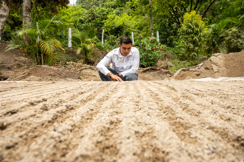 A certified arborist examining soil at a young tree's planting site