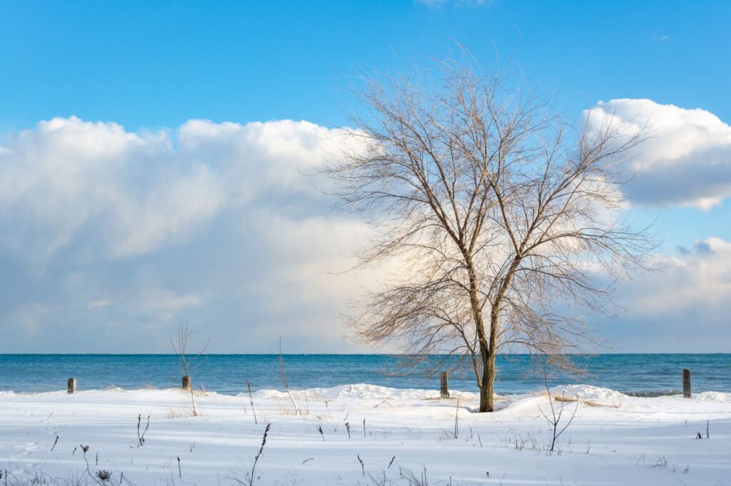 Winter wind moving across an exposed coastal Bayshore property near Raritan Bay
