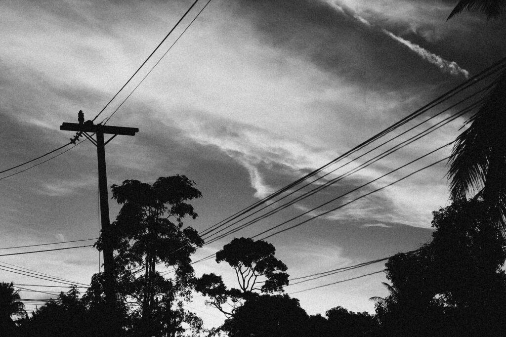 Tree branches growing close to overhead utility power lines