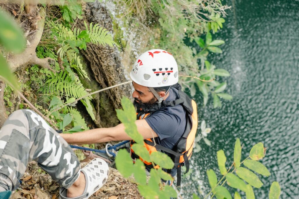 Certified arborist working in a tree with climbing gear