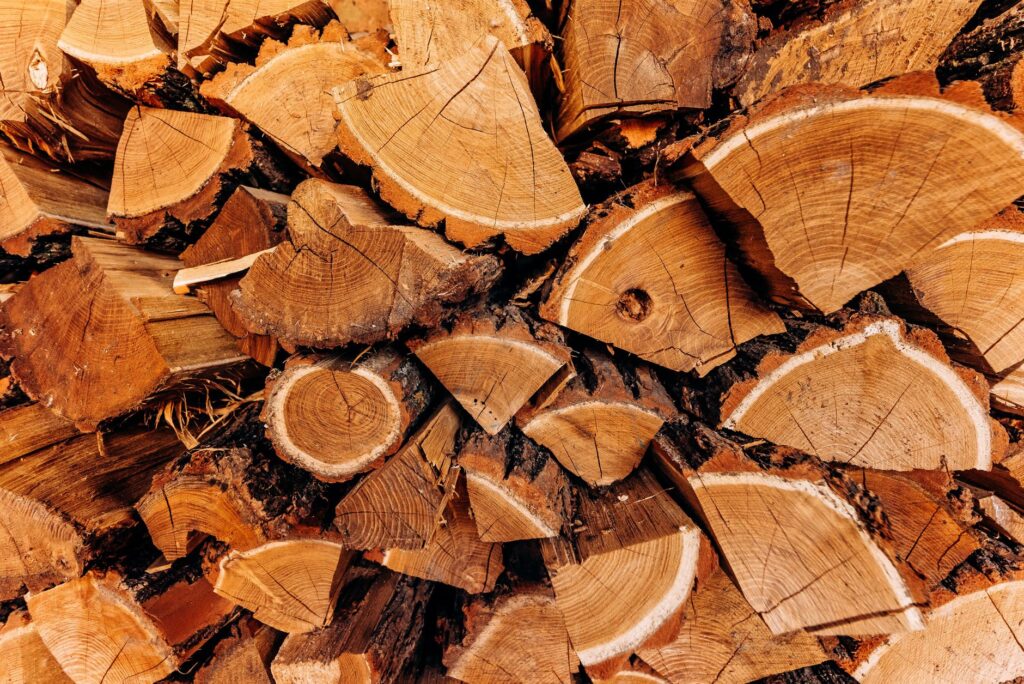 Split hardwood logs showing dense oak grain