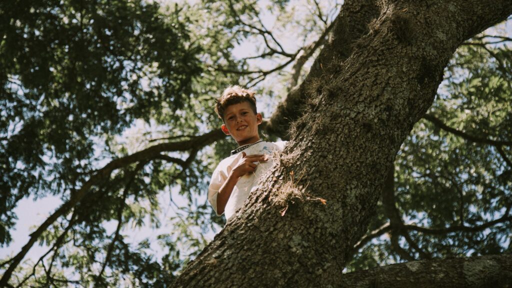 Certified arborist assessing a large tree from the ground