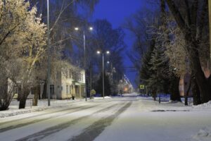 Snow-covered street trees along a suburban road in winter