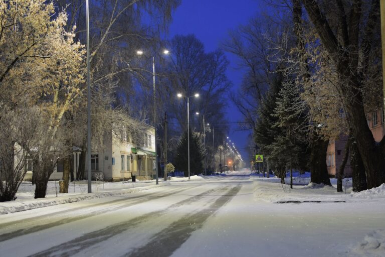 Snow-covered street trees along a suburban road in winter
