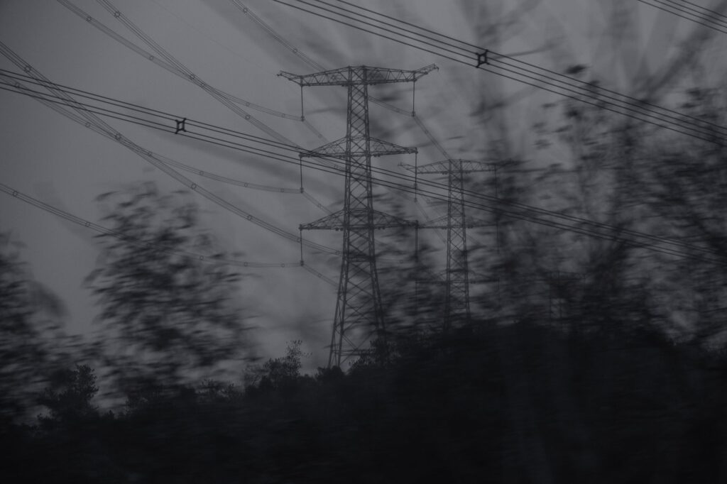 Tree branches reaching toward overhead power lines in autumn