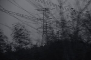 Tree branches reaching toward overhead power lines in autumn