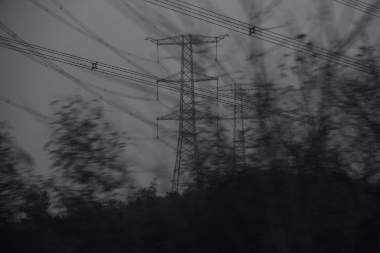 Tree branches reaching toward overhead power lines in autumn