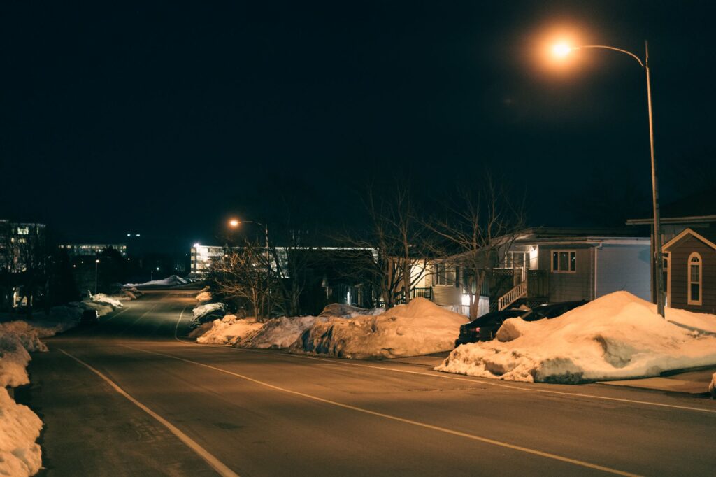 Plowed snow pile beside a lawn and young tree