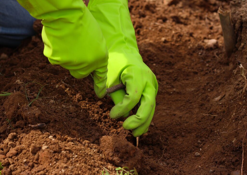 Hands holding a trowel and a soil sample taken from a garden bed