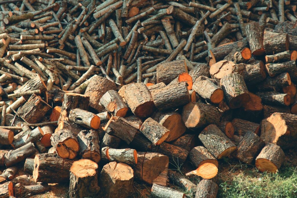 Checking firewood moisture on a freshly split log