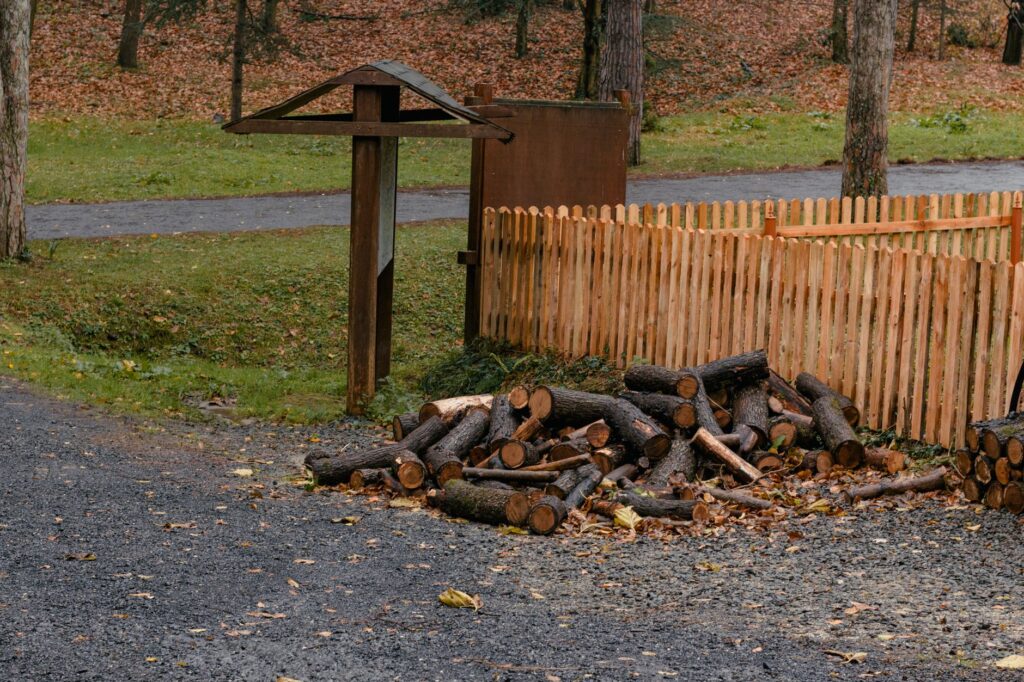 Cut oak limbs and logs stacked after a storm in a Middletown yard