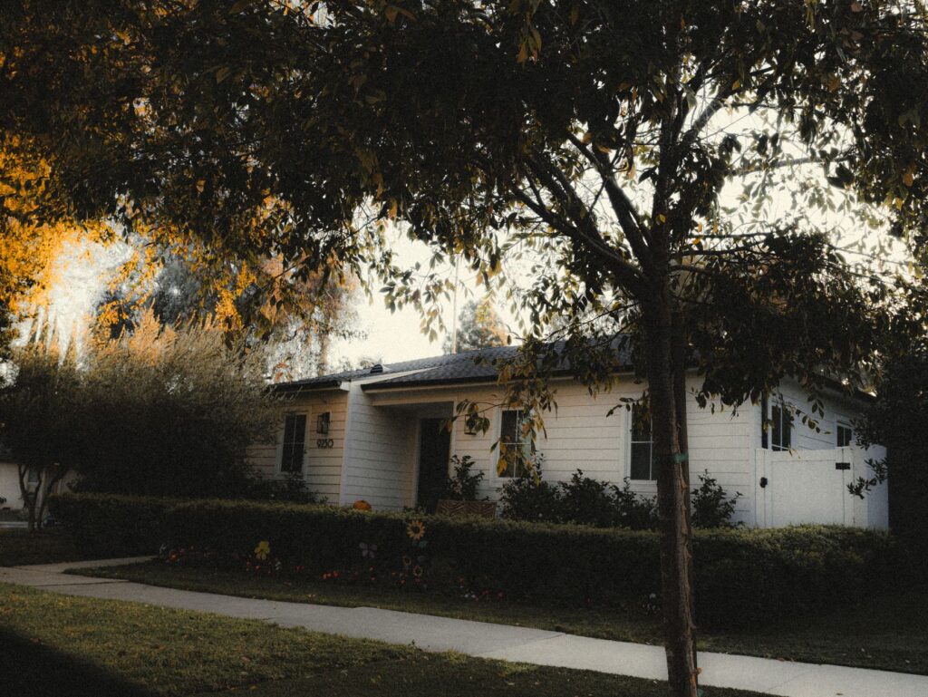 Large oak tree in autumn color beside a suburban New Jersey home