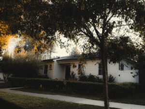 Large oak tree in autumn color beside a suburban New Jersey home