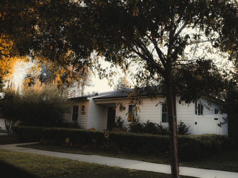 Large oak tree in autumn color beside a suburban New Jersey home
