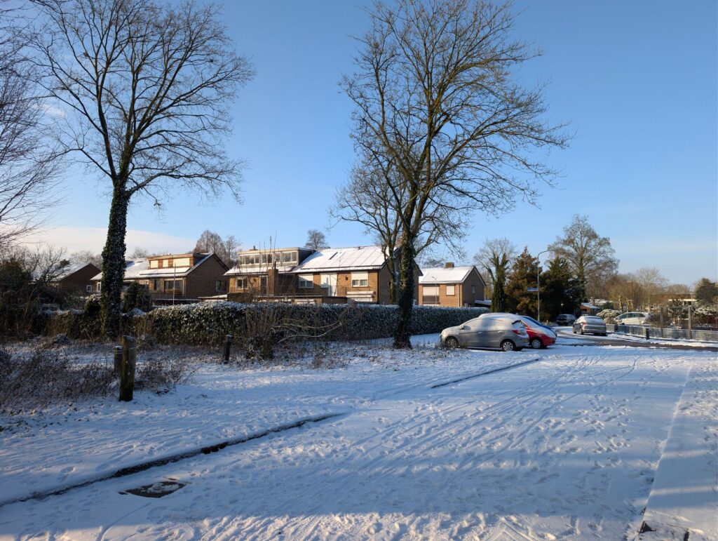 Snow-covered suburban driveway lined with trees in winter
