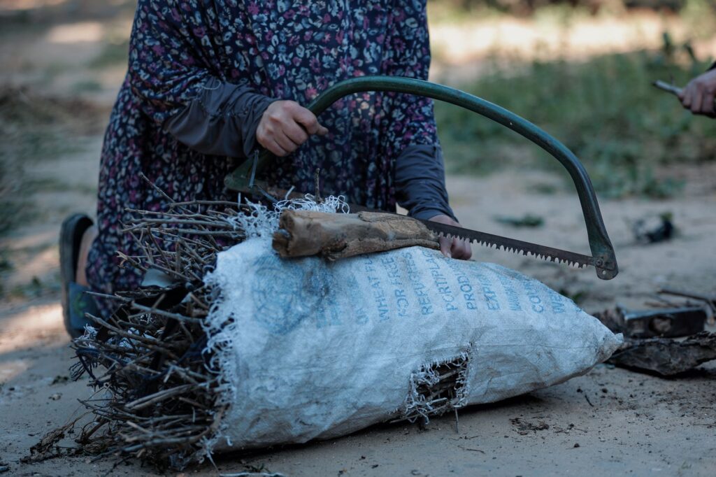 Hand using snips to remove a nursery tag from a tree branch