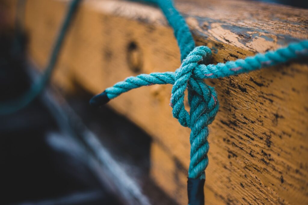 Rope tied tightly around a young tree trunk