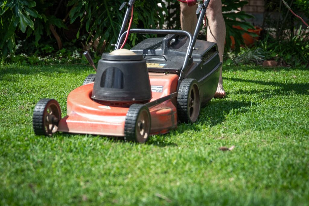 Mowing fallen leaves into a lawn in autumn