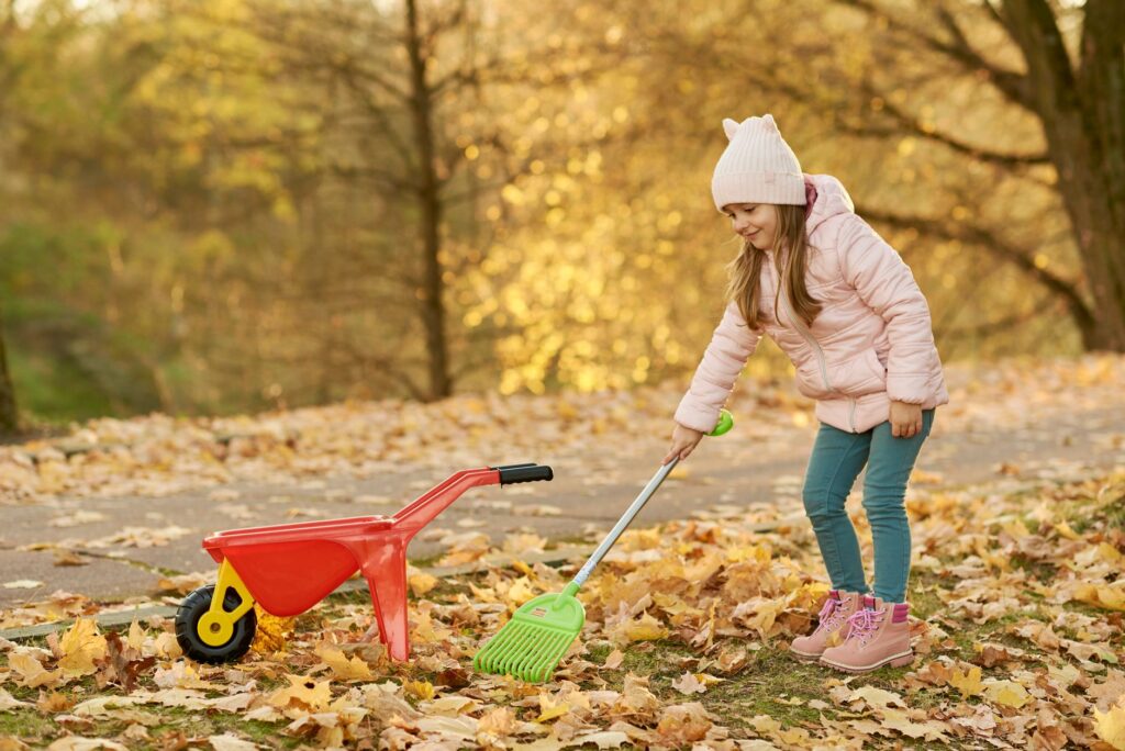 Rake and fallen leaves on a suburban driveway