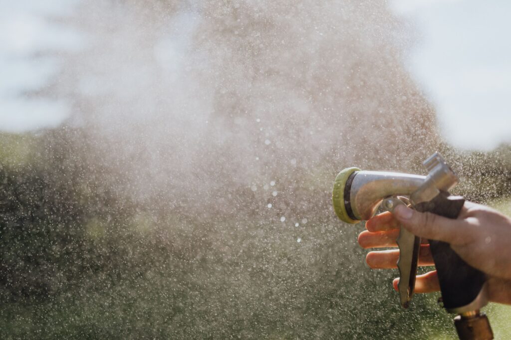 Hose soaking the soil around the base of a young tree