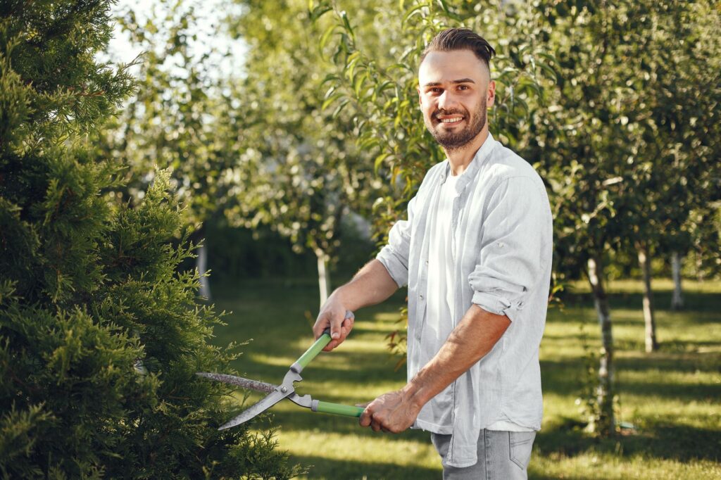 A homeowner using a pole pruner to remove a low dead branch from a tree