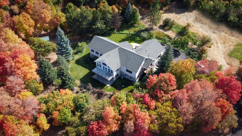 Large shade tree in an autumn suburban backyard lawn