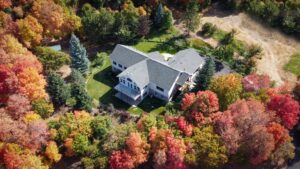 Large shade tree in an autumn suburban backyard lawn
