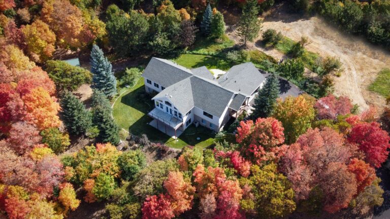 Large shade tree in an autumn suburban backyard lawn