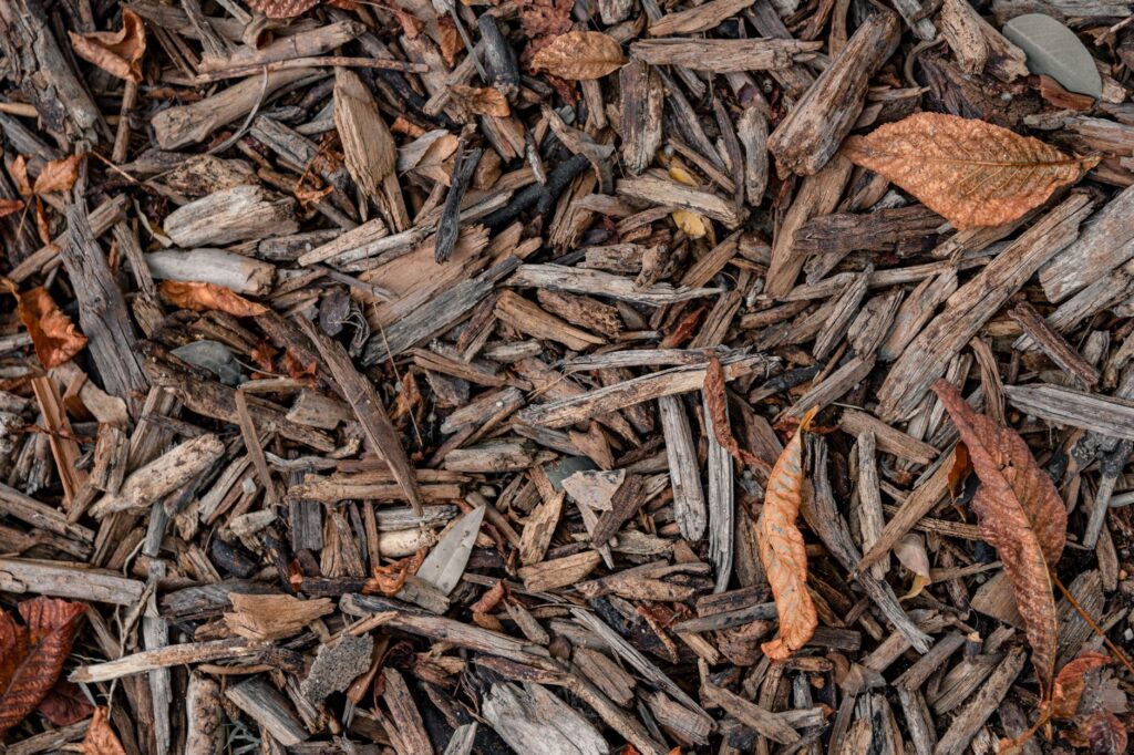 Garden bed covered with shredded autumn leaves used as mulch
